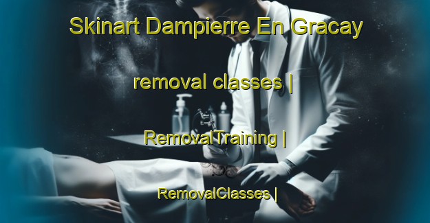 Skinart Dampierre En Gracay removal classes | RemovalTraining | RemovalClasses | SkinartTraining-France